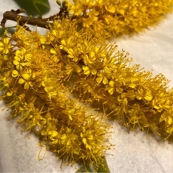 Meet your Posher, A - Picture 1 of 1